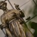 Пятеро подростков получили реальные сроки в колонии за избиение прохожих в Москве