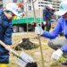 Акция по сохранению леса прошла в Химках с участием жителей