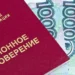 Кто платит за «гостей»? В России предложили отменить социальные пенсии для мигрантов