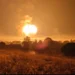 ВС России ударили авиабомбами по Криворожской ТЭС, произошедшее сняли на видео