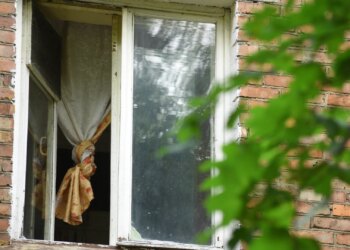 «Квартира-помойка»: москвичка забила собственное жилье мусором и оставила его котам