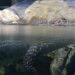 Погибшего из-за крокодила рыбака нашли через 7 часов