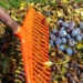 В Госдуме рассказали о праве работников отказаться от участия в субботнике
