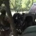 Стрельник: стремительное продвижение Армии России в ДНР создает угрозу для Изюма