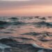 Эколог Зайчиков: Азовское море утрачивает способность к самоочищению