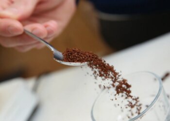 Невролог назвал безопасный возраст для начала употребления кофе