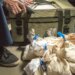Силовики поймали курьера мошенников с 1,6 млн рублей