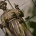 Суд Нальчика отправил в колонию на 9,5 лет бывшего главу банка